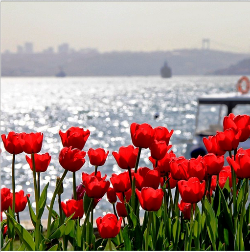 погода в Турции а апреле