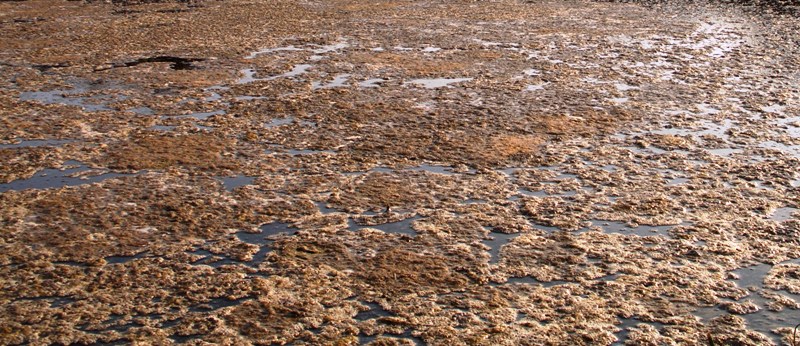 Сероводородный санаторий в Турции грязь Термамарис